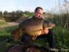 brzuchaty-karp