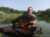 karp-w-wodzie